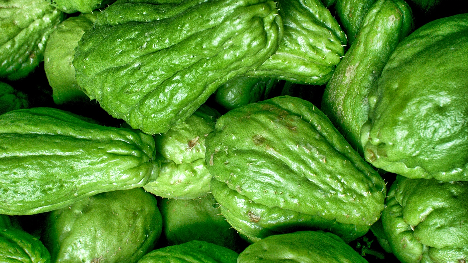 Chayote - Mex Flores Product