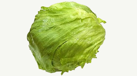 Lettuce - Hacienda DANSOL