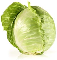 cabbage - Hacienda DANSOL