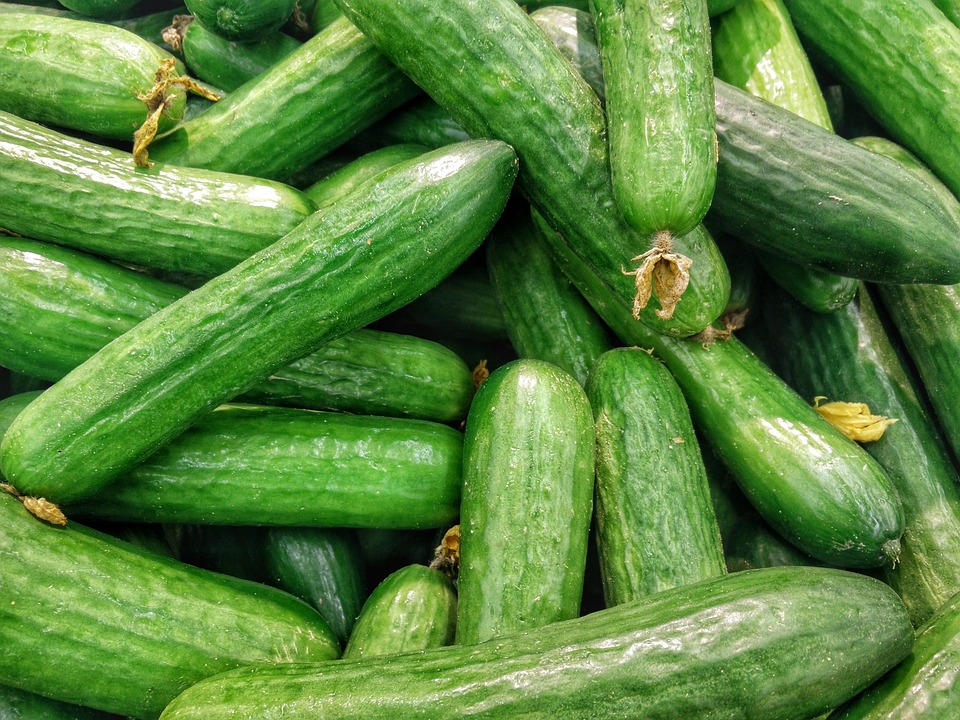 Cucumber - Martínez and Sons