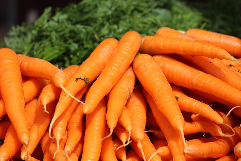 Carrot - Martínez and Sons