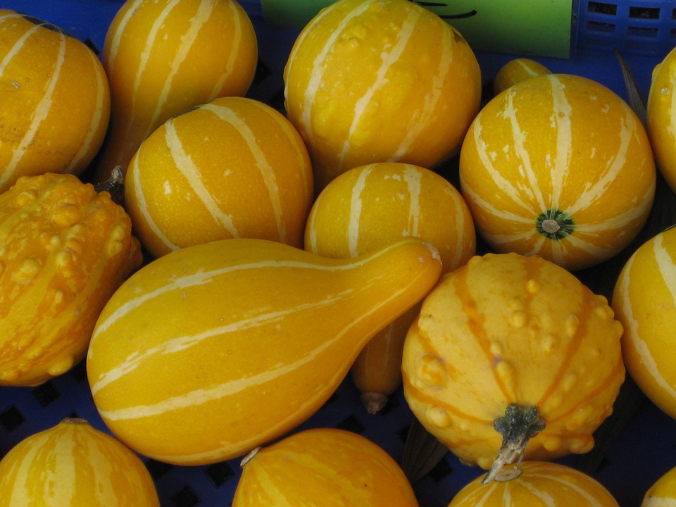 Pumpkin Yellow - Martínez and Sons