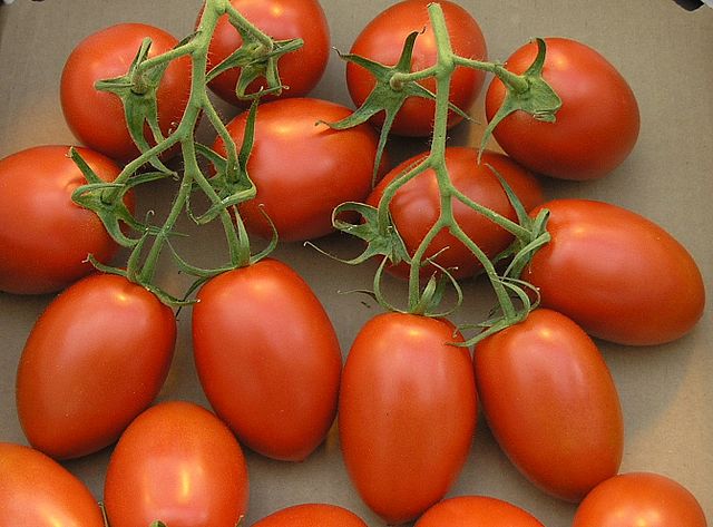 Tomato Rome - Cueta Produce