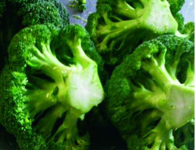 Broccoli  - XalteProduce