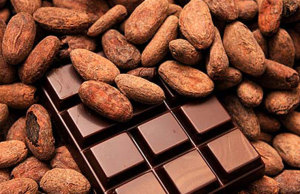 Cacao - ECUADOR COCOA & COFFEE, ECUACOFFEE S.A