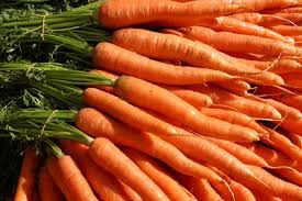 Carrot - Charlies Produce