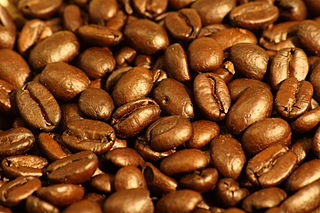 Café - Café Orgánico Marcala