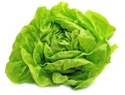 Lettuce - Deardorff Family Farms