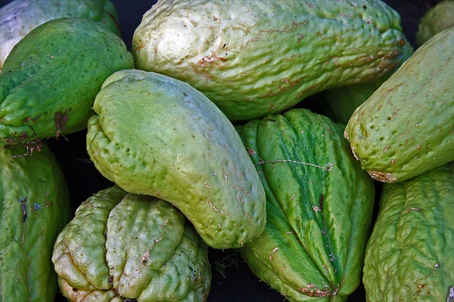 Chayote - Sweeter Exportadora