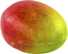 Mango - Fenix Trading