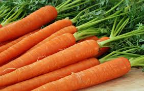 Carrot - IMECE EKOLOJIK YASAM & ORGANIK URUNLER