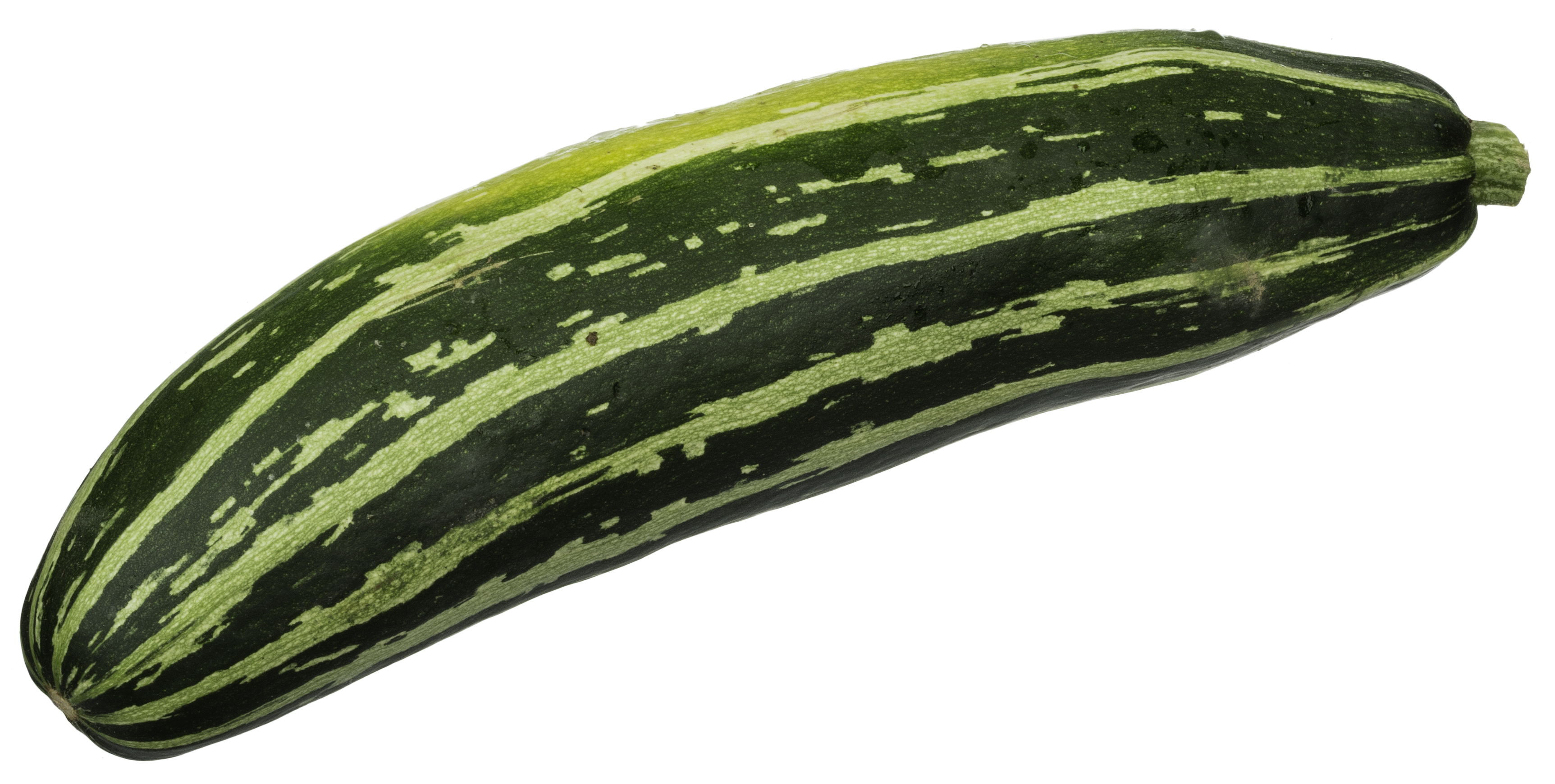 Calabaza Italiana - Agriexport