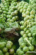 Brussels sprouts - Agrícola Duke