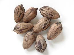 Nut - Leonuez
