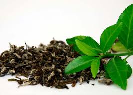 Té  - Te Mar