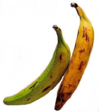 Banana - Agro Importaciones, S.A