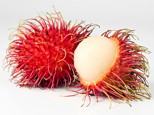 Rambutan - Finca la Estancia, S. A