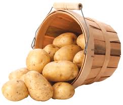 Papa - Samodlarna/JKW Cons.